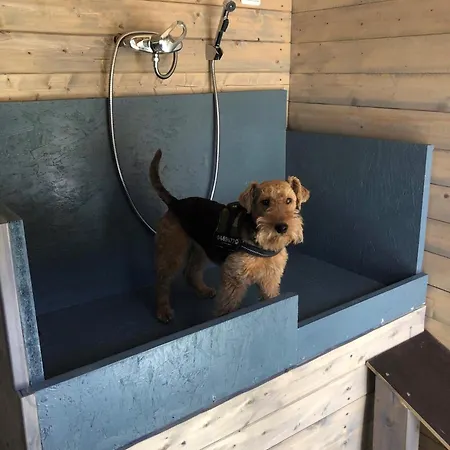 Mina Дом отдыха *